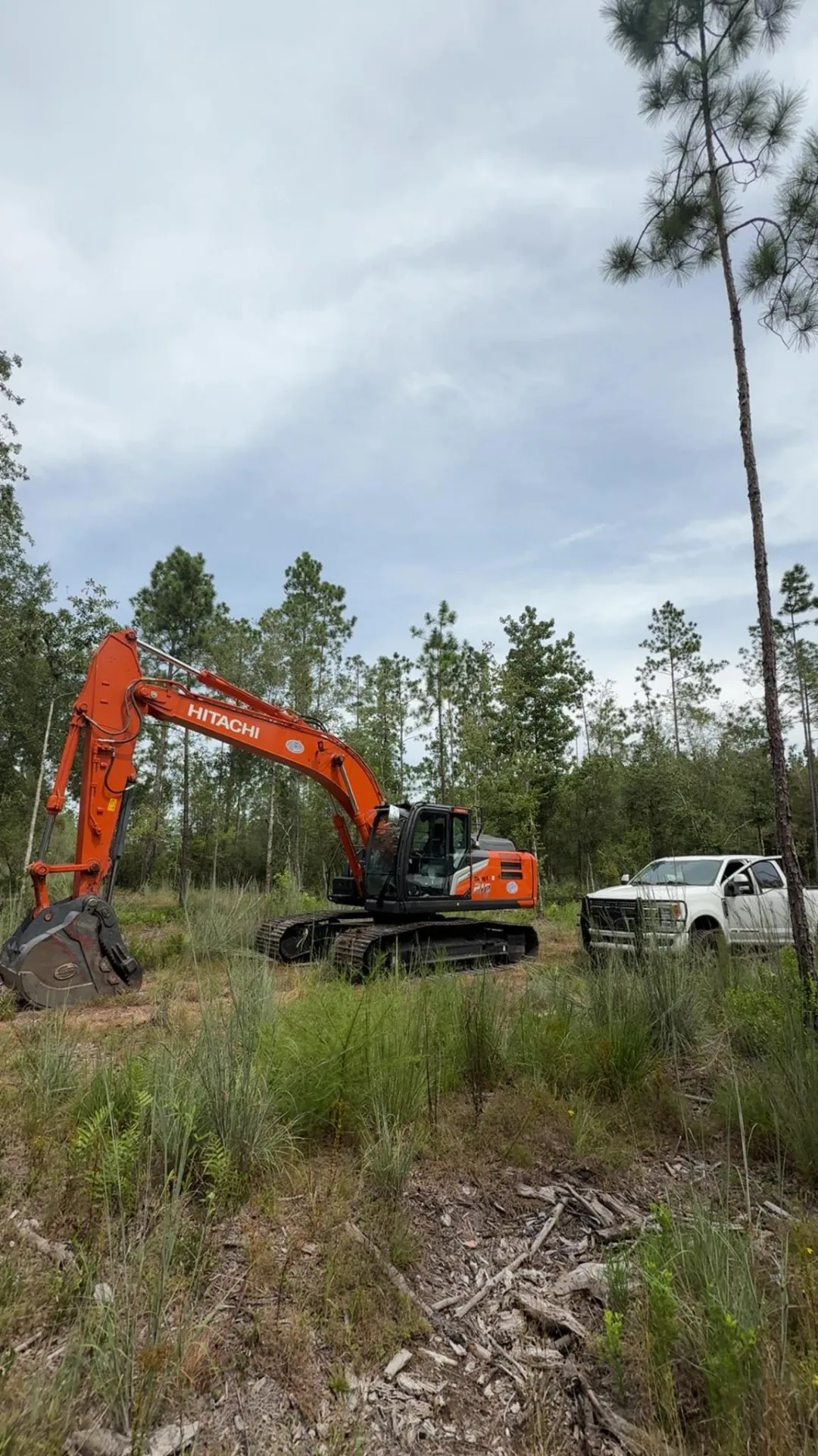 Wooded Acreage Clearing — Land Clearing project in Duval County, FL